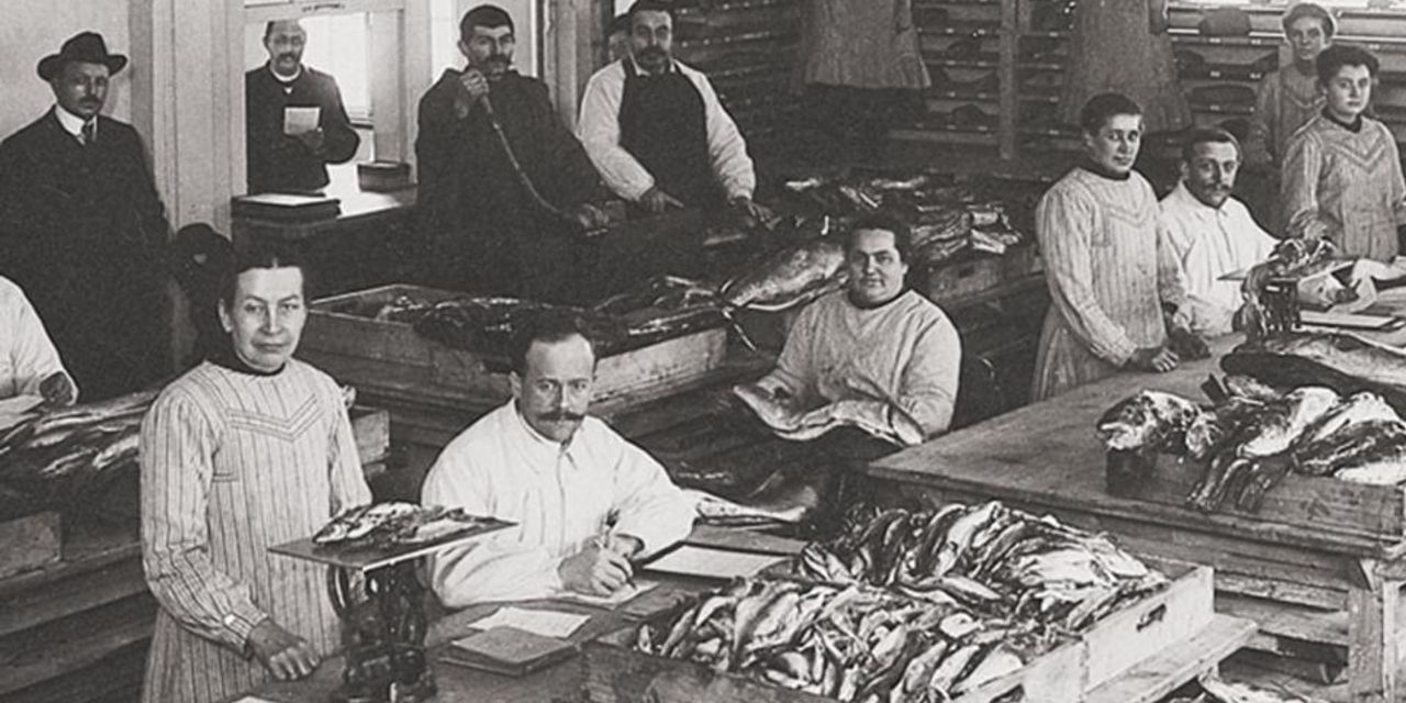 WMF - Fischhalle WMF - Fischhalle