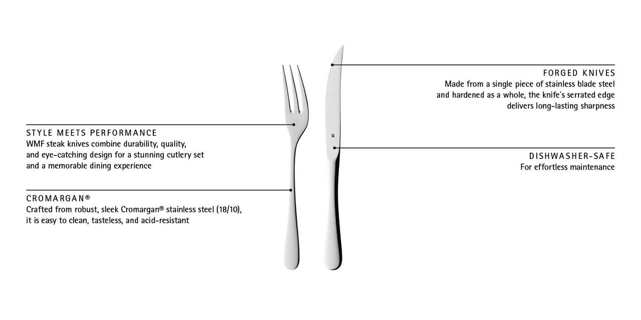 image-alt-699e25c85ecef