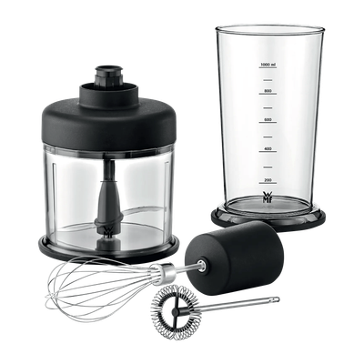 Пасатор Lineo 4в1 gx.