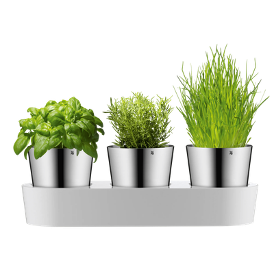 Комплект саксийки за подправки Gourmet