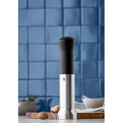 Мелничка за индийско орехче