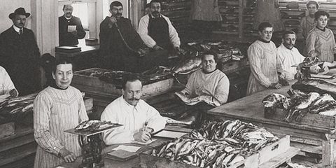 WMF - Fischhalle WMF - Fischhalle