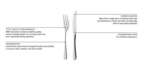 image-alt-699e25c85ecef