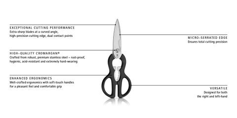 image-alt-699e258e9005c