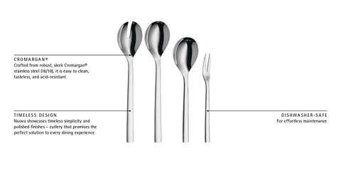 image-alt-699e25cb1e93c