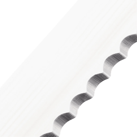 image-alt-699e266c7adea