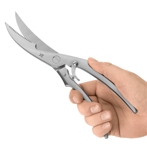 image-alt-699e6bc47bac7