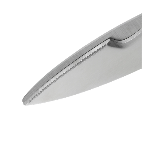 image-alt-699e258e61d8b