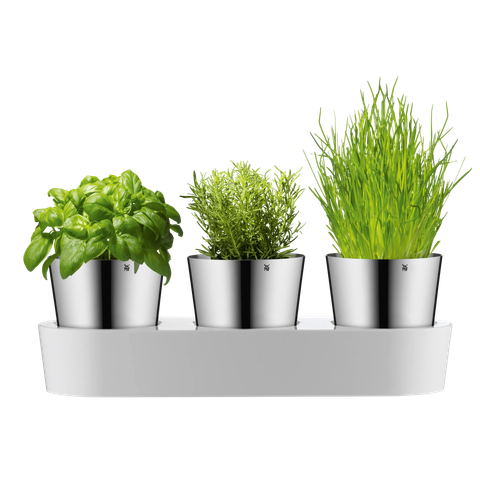 image-alt-699e257a960f5