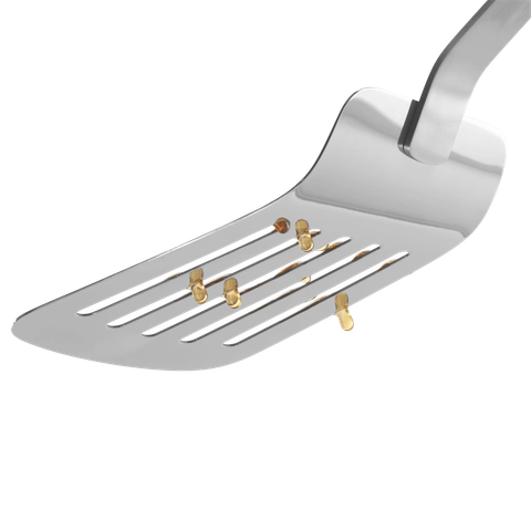 image-alt-699e6ca845df3