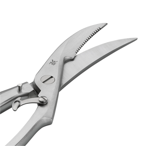 image-alt-699e6bc47bb3e