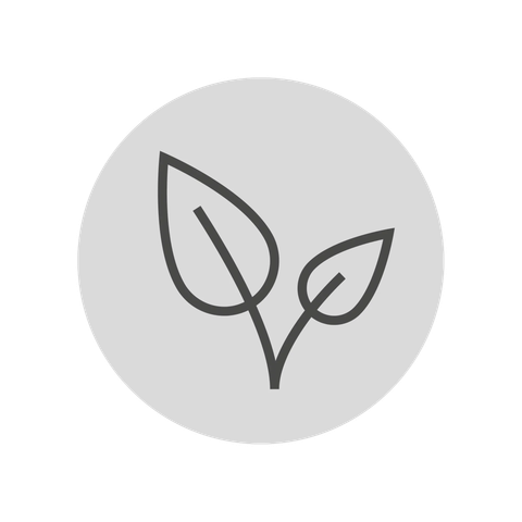 image-alt-699e07f0d7b9d