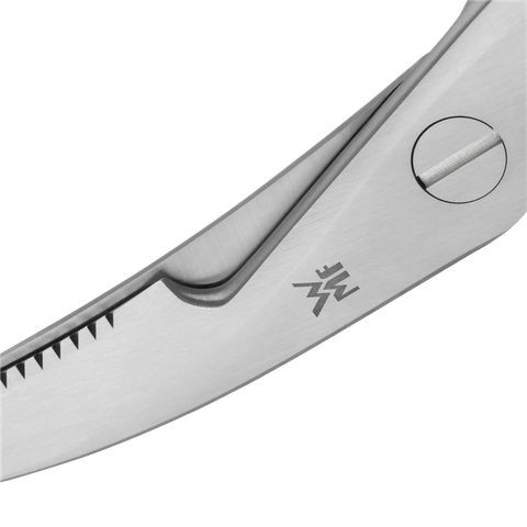 image-alt-699e6bc47bb57