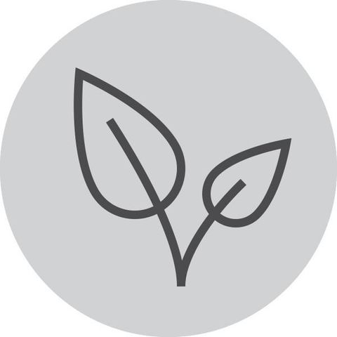 image-alt-699e080b47c50