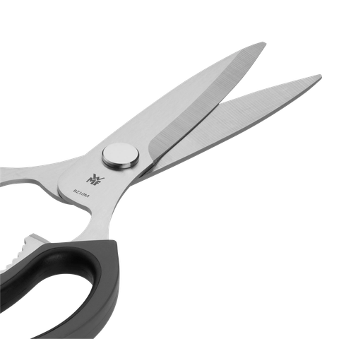 image-alt-699e4a16d6ddb