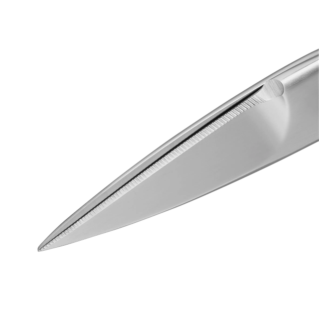 image-alt-699e485b7e17c