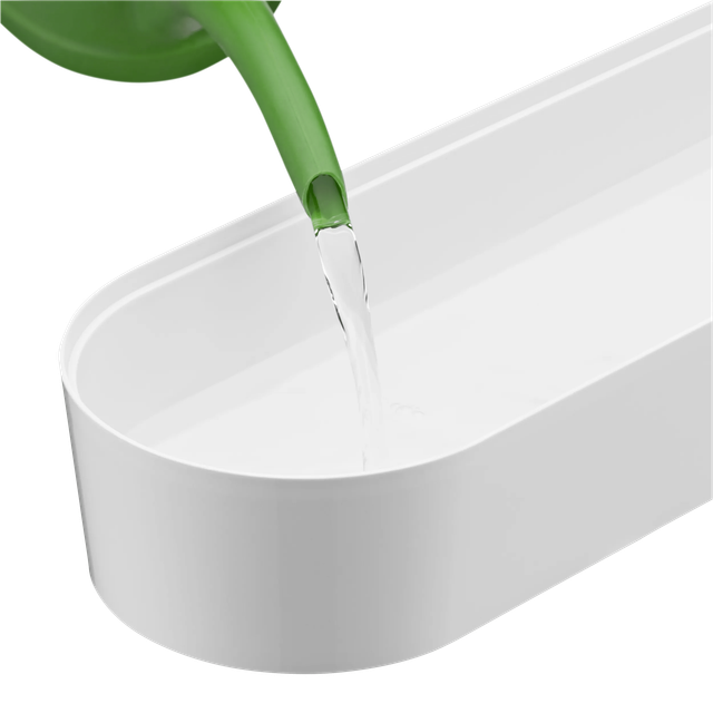 image-alt-699e257a960c9 image-alt-699e257a960c9