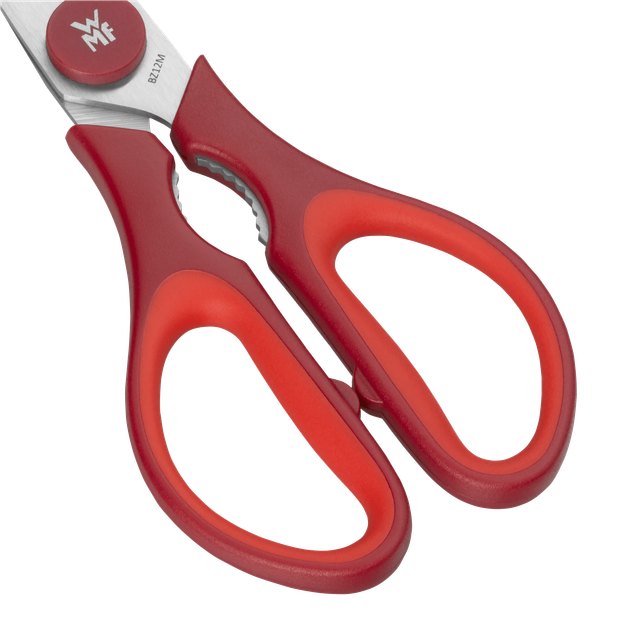 image-alt-699e492134e0a