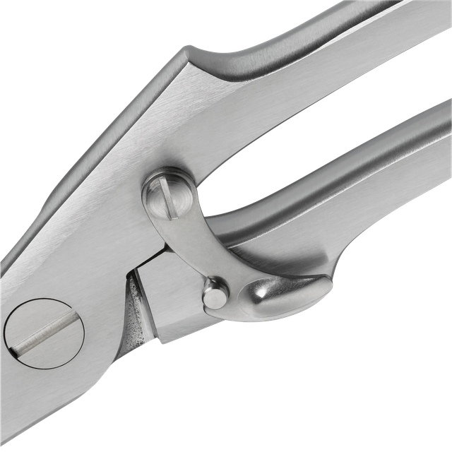 image-alt-699e6bc47bb6d