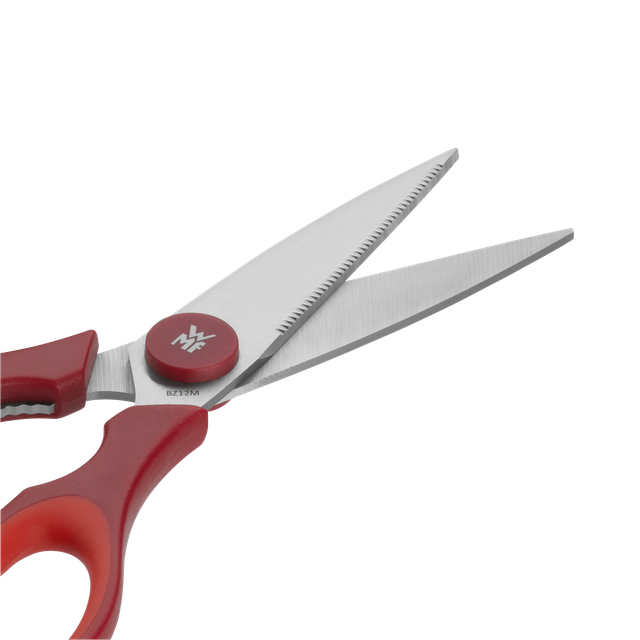 image-alt-699e492134d90