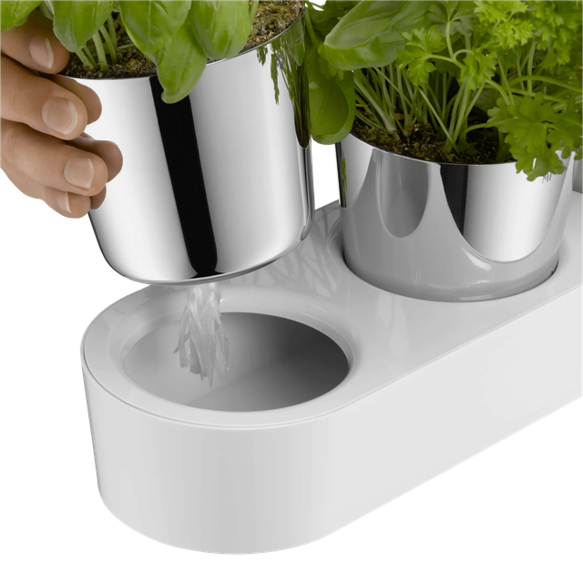 image-alt-699e257a96059 image-alt-699e257a96059