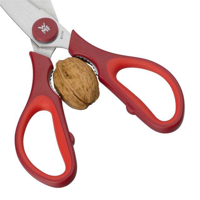 image-alt-699e492134e4a